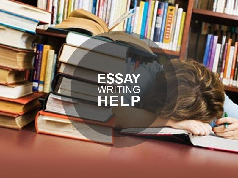 essay writing help
