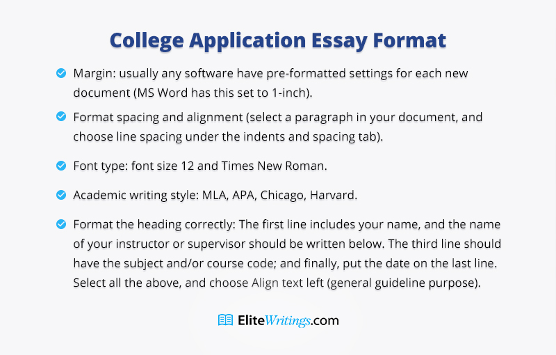 application essay format example