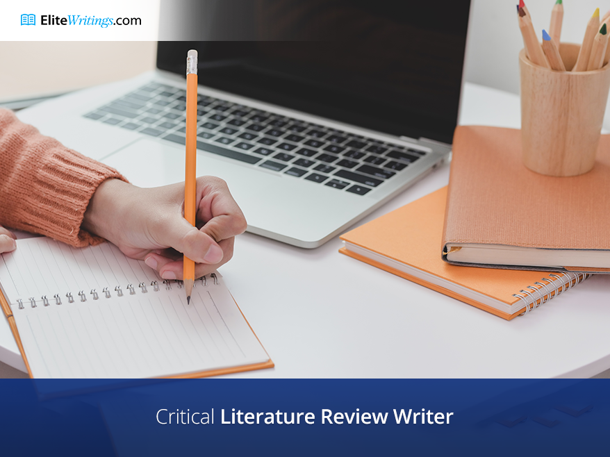 Critical Literature Review Writer