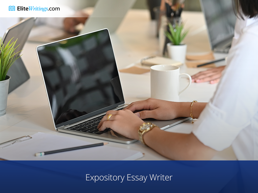 Expository Essay Writer