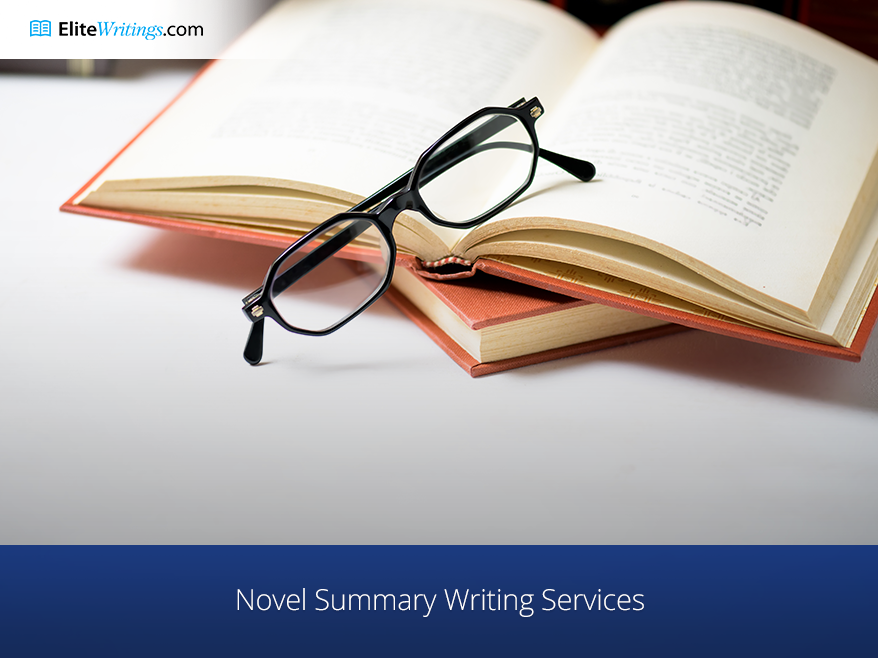 Novel Summary Writing Services